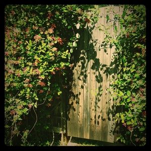 Meet your Posher, Laurie